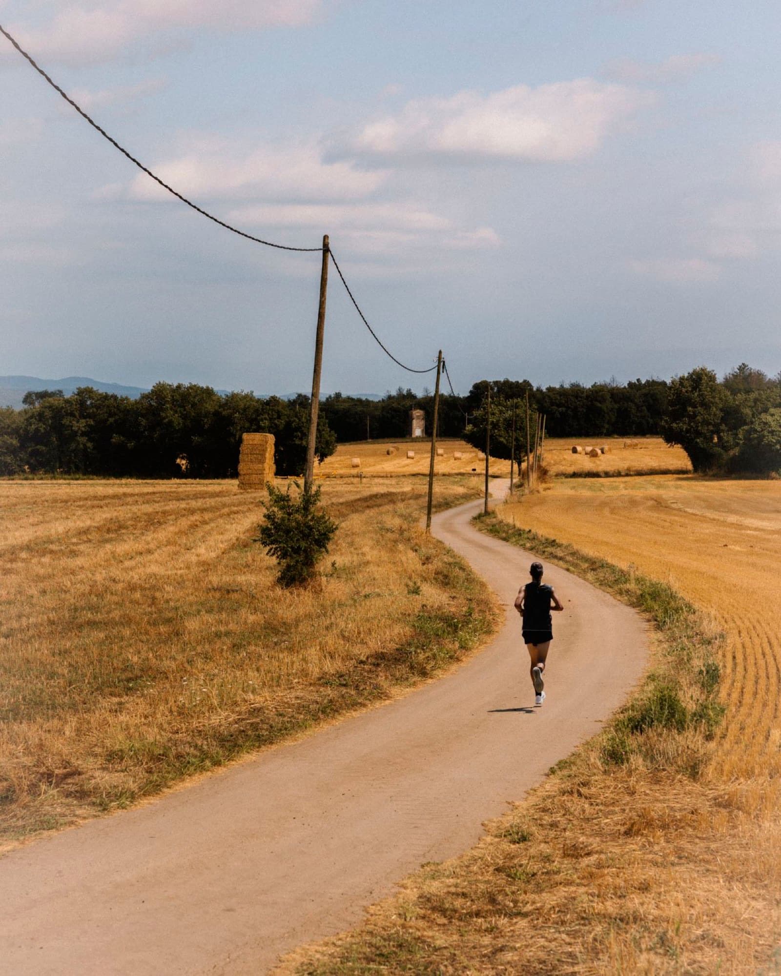 Runner on a wheat field track